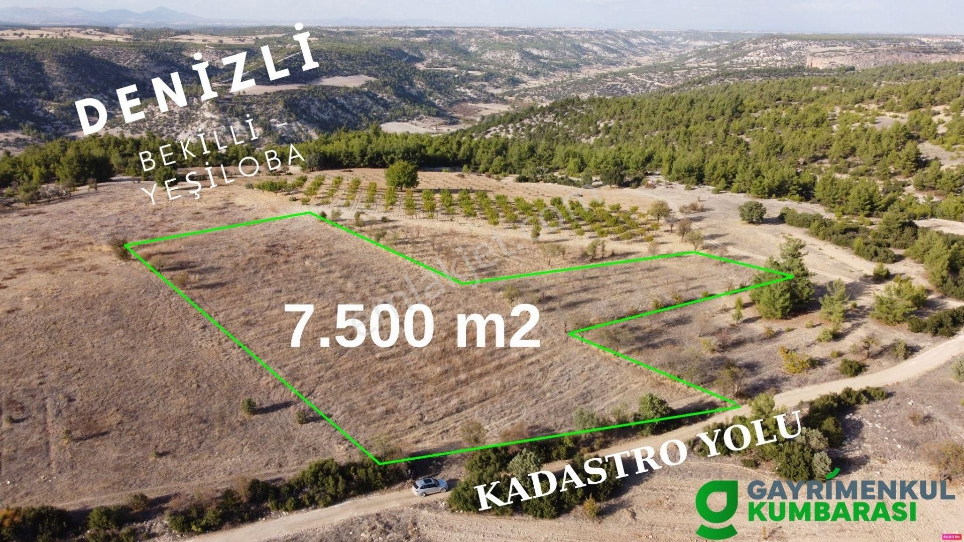 Bekilli Yeşiloba Satılık Bağ & Bahçe DENİZLİ BEKİLLİ YEŞİLOBA MAH. 7.500 M2 + KADASTRO YOLU VAR 