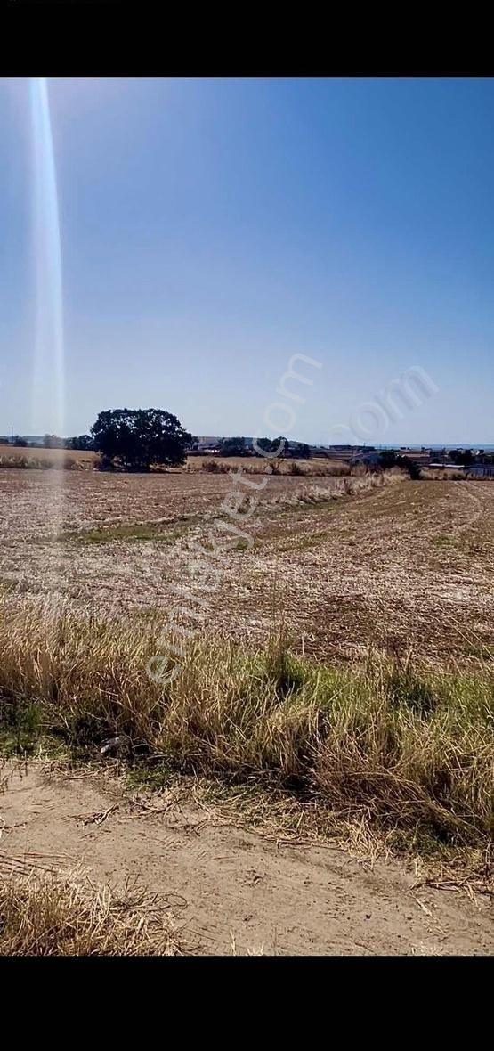 Gelibolu Bolayır Köyü (Gazi Süleyman Paşa) Satılık Konut İmarlı GELİBOLUDA İMARLI VE DENİZ MANZARAL ÇAPLI SATILIK ARSA