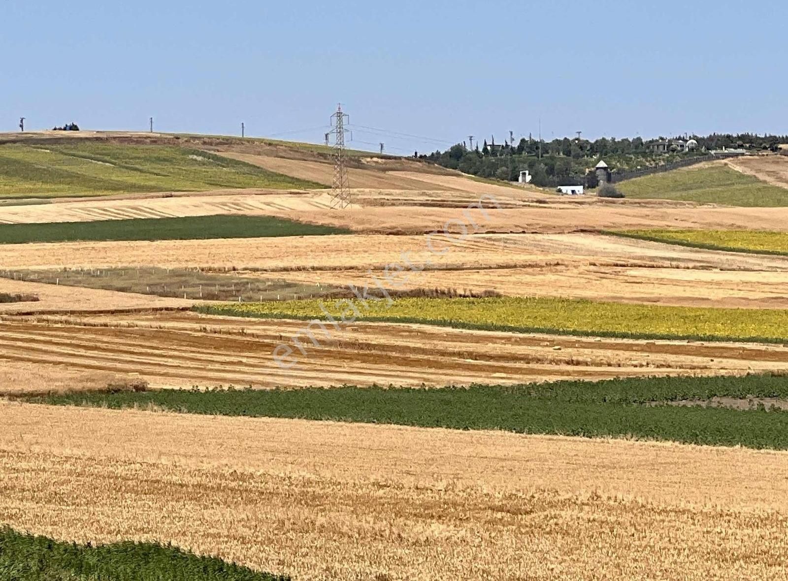 Marmaraereğlisi Yeniçiftlik Satılık Tarla Marmaraereğlide Ful Deniz Manzaralı İmara Yakın Satılık Arsa