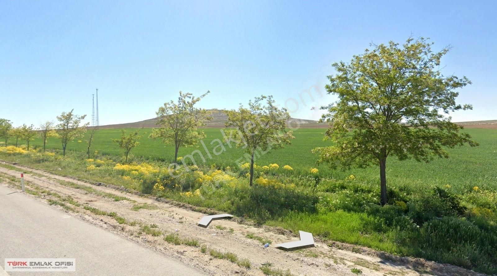 Karatay Kızören Satılık Tarla Konya Kızörende Ana Yol Cepheli Satılık 53.450 M2 Tarla