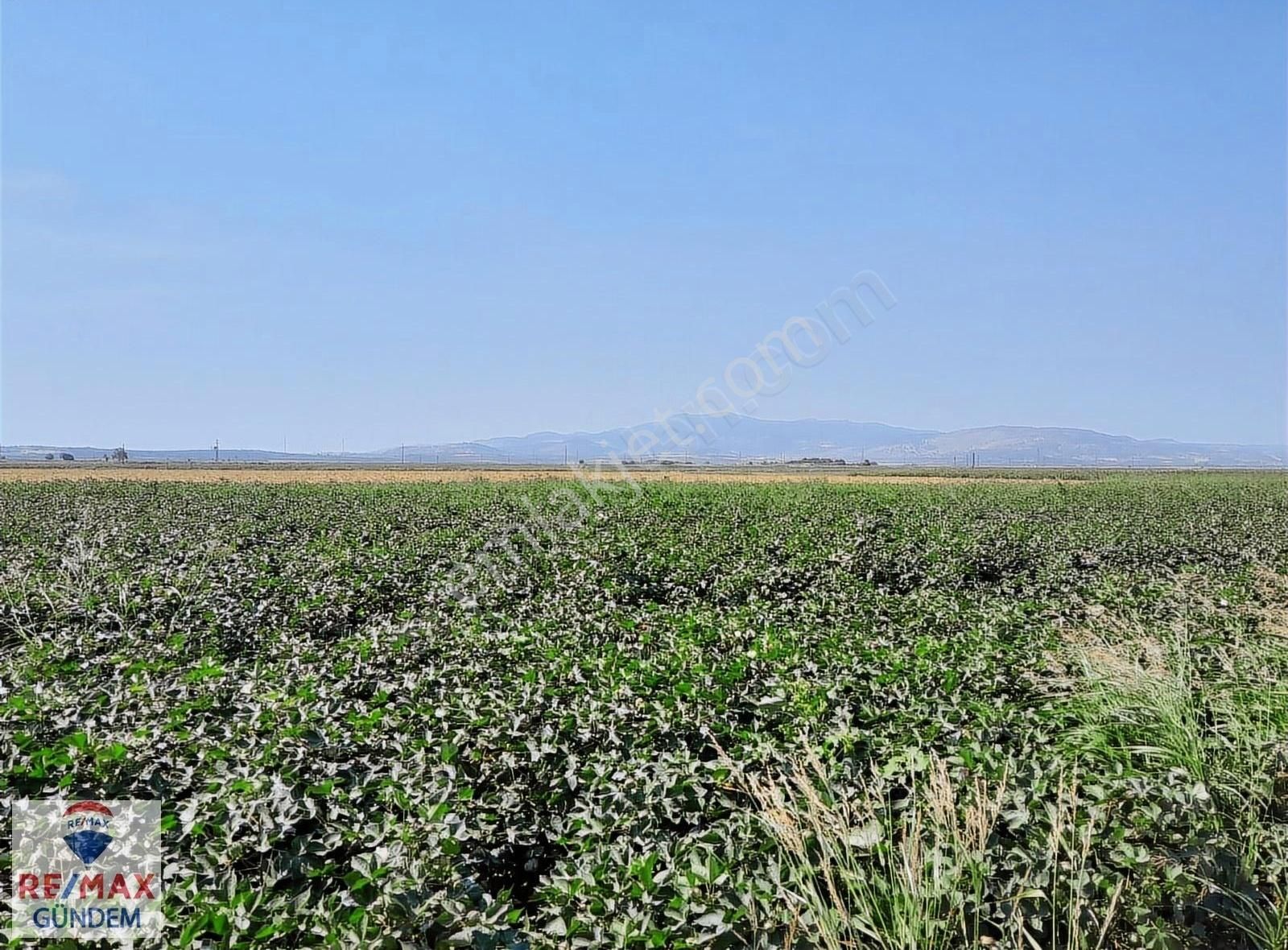 Bergama Yenikent Satılık Tarla BERGAMA BATI SERBEST SANAYİBÖLGESİNDE SATILIK MÜSTAKİL TARLA