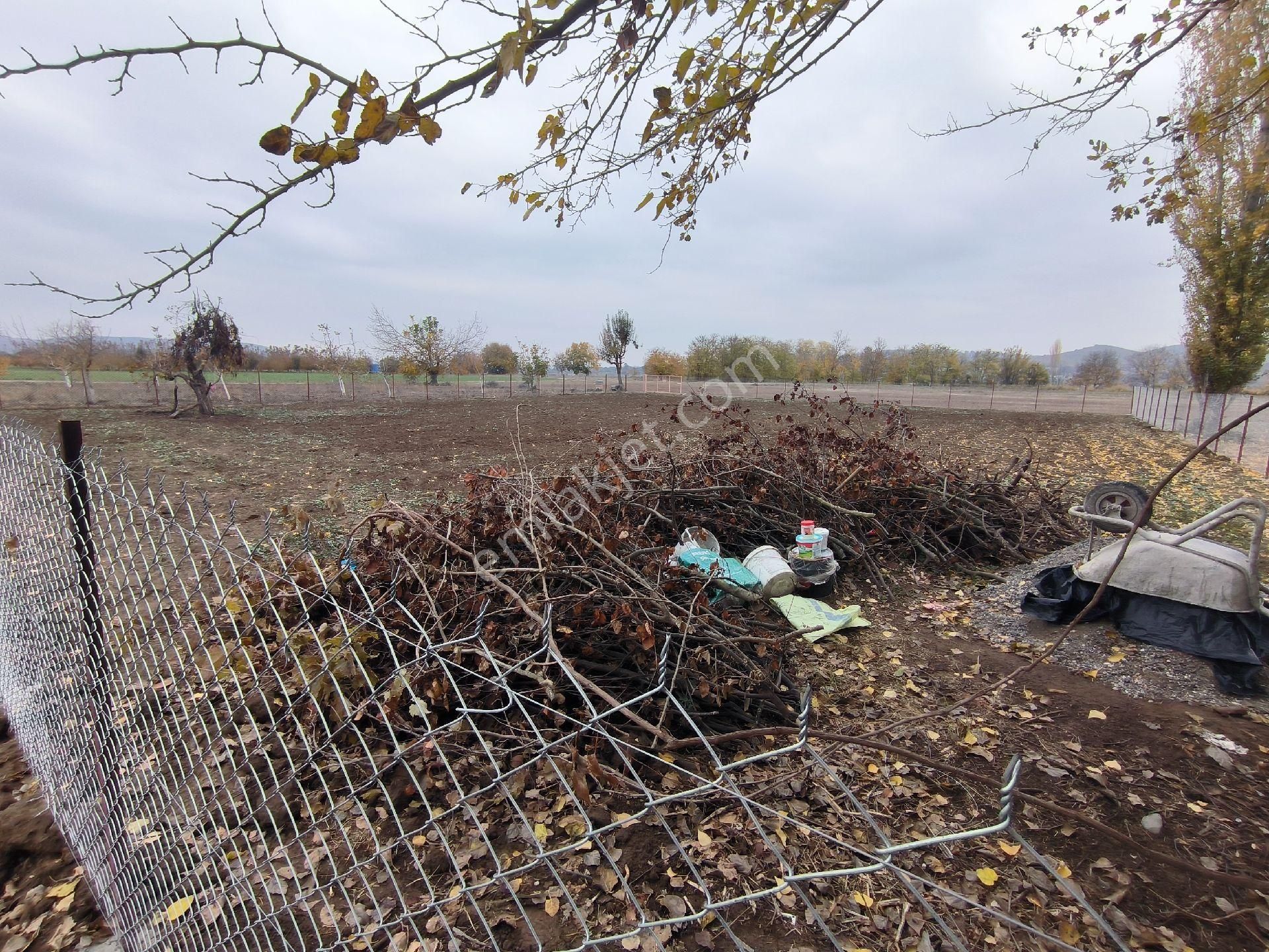 Mustafakemalpaşa Karaorman Satılık Tarla KARORMAN MAH.1375 M2 RESMİ YOLU BULUNAN HOBİ BAHÇESİ TARLA 