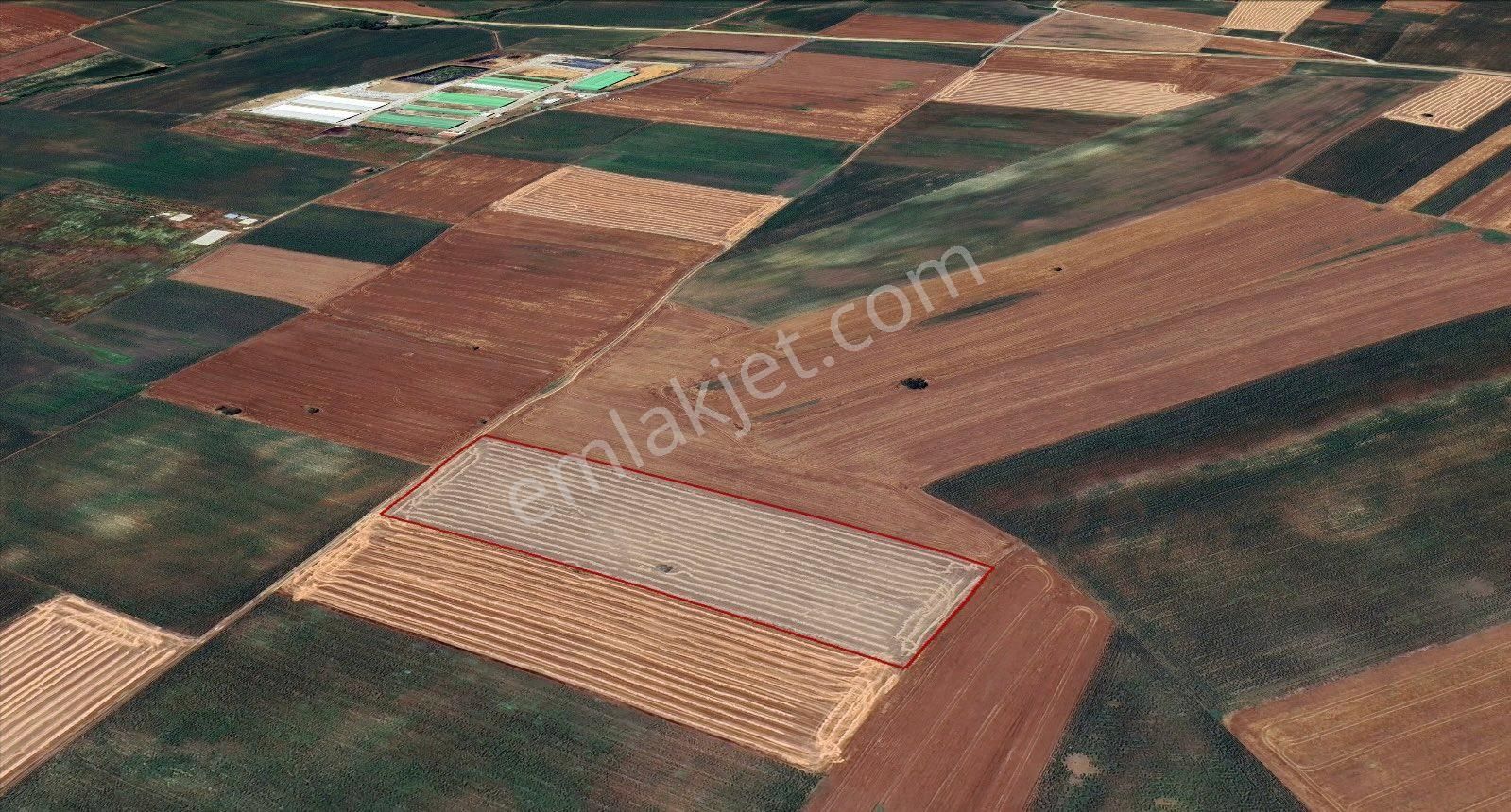 Lüleburgaz Sakızköyde Satılık 19.140m2 Tarla