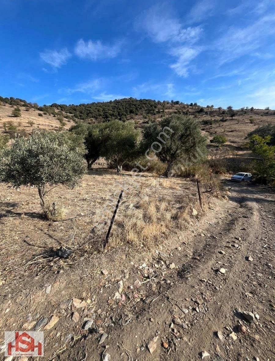 Ödemiş Kaymakçı Satılık Konut İmarlı Kaymakçıda Merkeze 2 Km Mesafede !!!fırsat!!! 640 M2 5 Adet Arsa