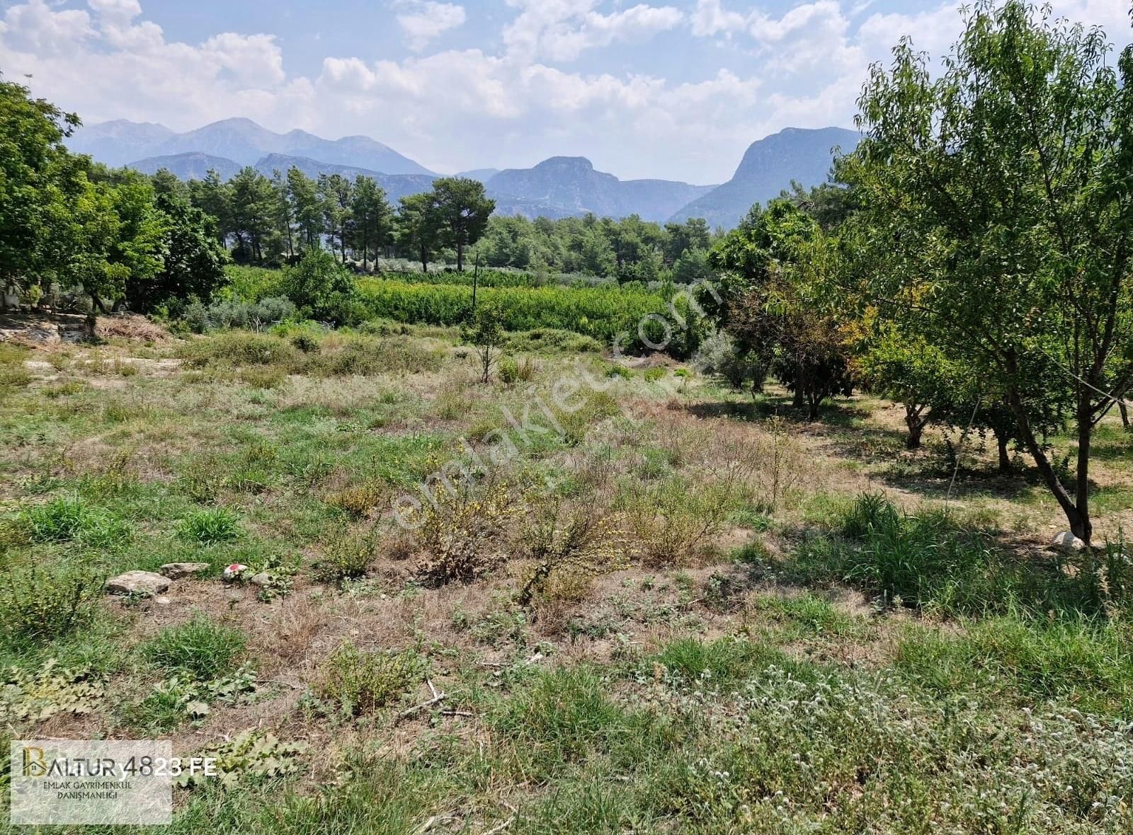 Seydikemer Kayadibi Satılık Tarla Seydikemer Kayadibi(saklıkent) Mahallesinde Fırsat Arazisi