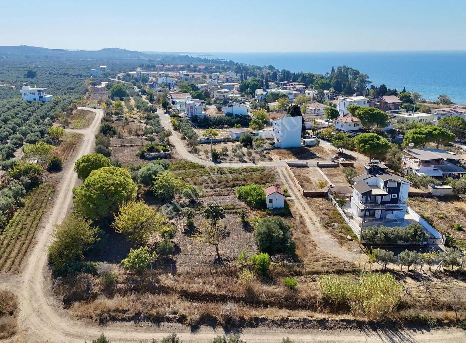 Didim Akköy Satılık Villa İmarlı Denize 250 mt Köşe Parsel Yanı Park Önü Zeytinlik 291 m2 Arsa