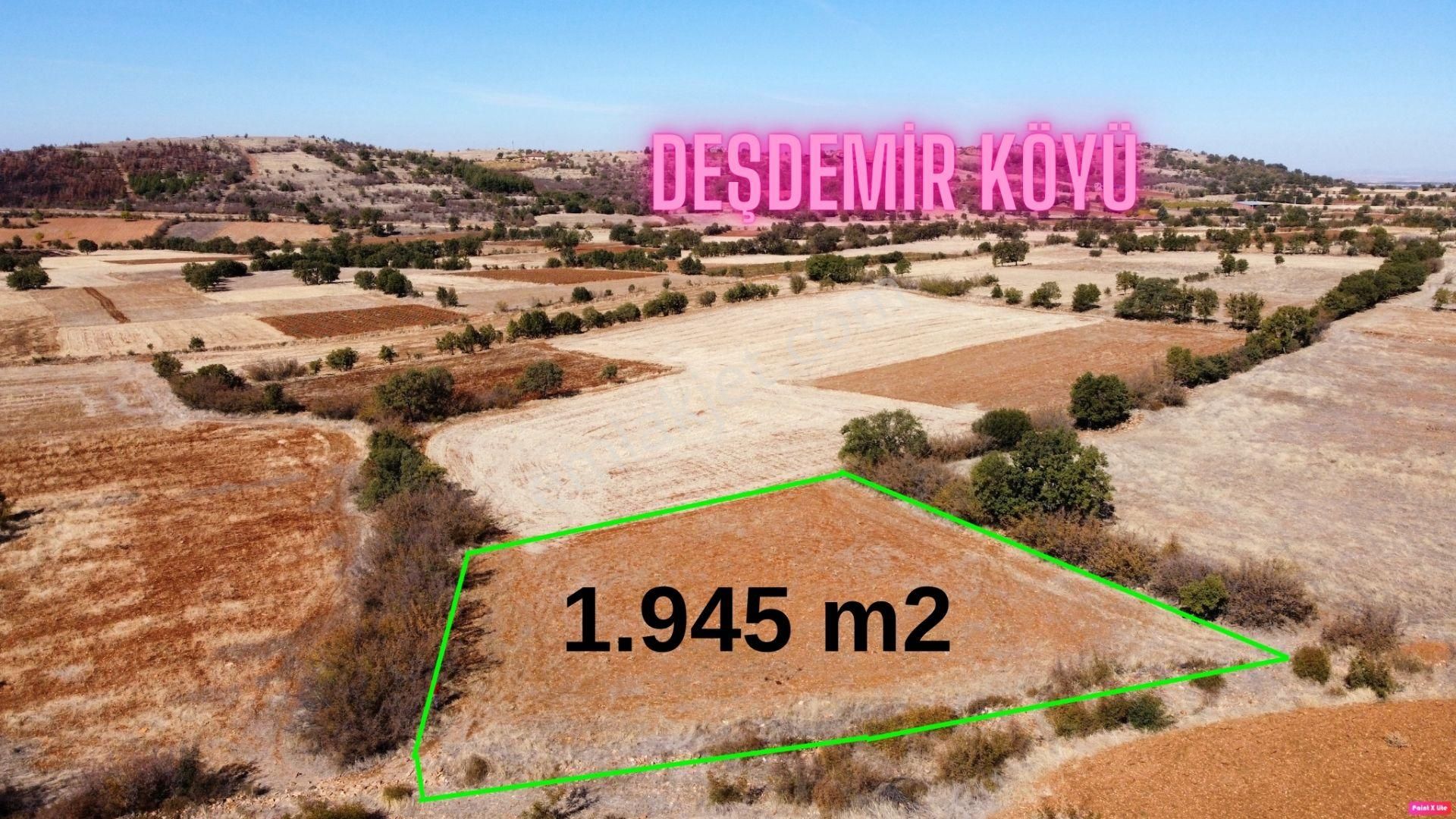 Bekilli Deşdemir Satılık Tarla DENİZLİ BEKİLLİ DEŞDEMİR MAH. 1.945 M2 MÜSTAKİL ARAZİ