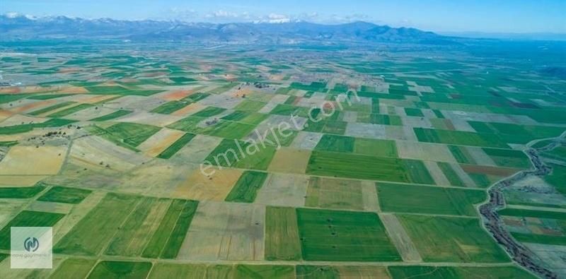 Akdeniz Anadolu Satılık Tarla **NOVA** AKDENİZ HOMURLU'DA SATILIK 9787 M2 ARSA