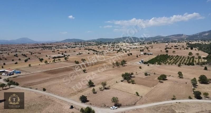 Korkuteli Yelten Satılık Tarla YÜKSEK DÖNÜM UYGUN FİYAT