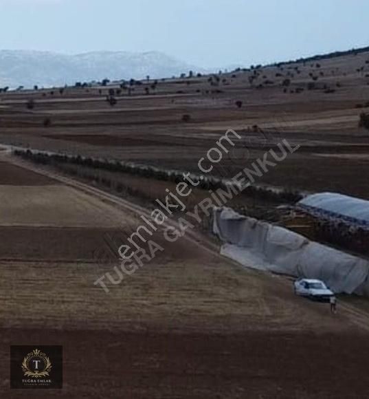 Korkuteli Bozova Satılık Tarla YÜKSEK DÖNÜM UYGUN FİYAT GARANTİSİYLE