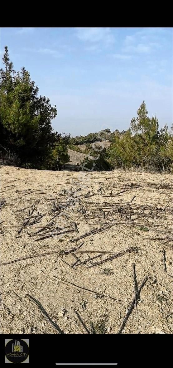 Çukurova Salbaş Esentepe Satılık Tarla ÇUKUROVANIN GÖZBEBEĞİ SALBAŞ ESENTEPEDE YATIRIM FIRSATI