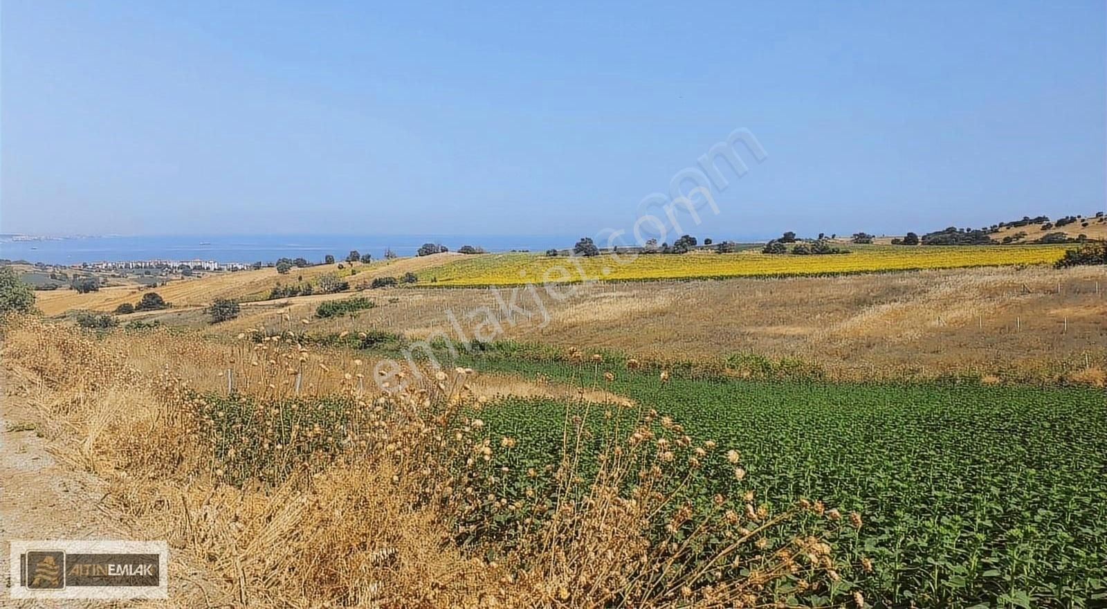 Süleymanpaşa Topağaç Satılık Konut İmarlı TEKİRDAĞ BARBAROS'TA 625 M2 DENİZ MANZARALI ARSA