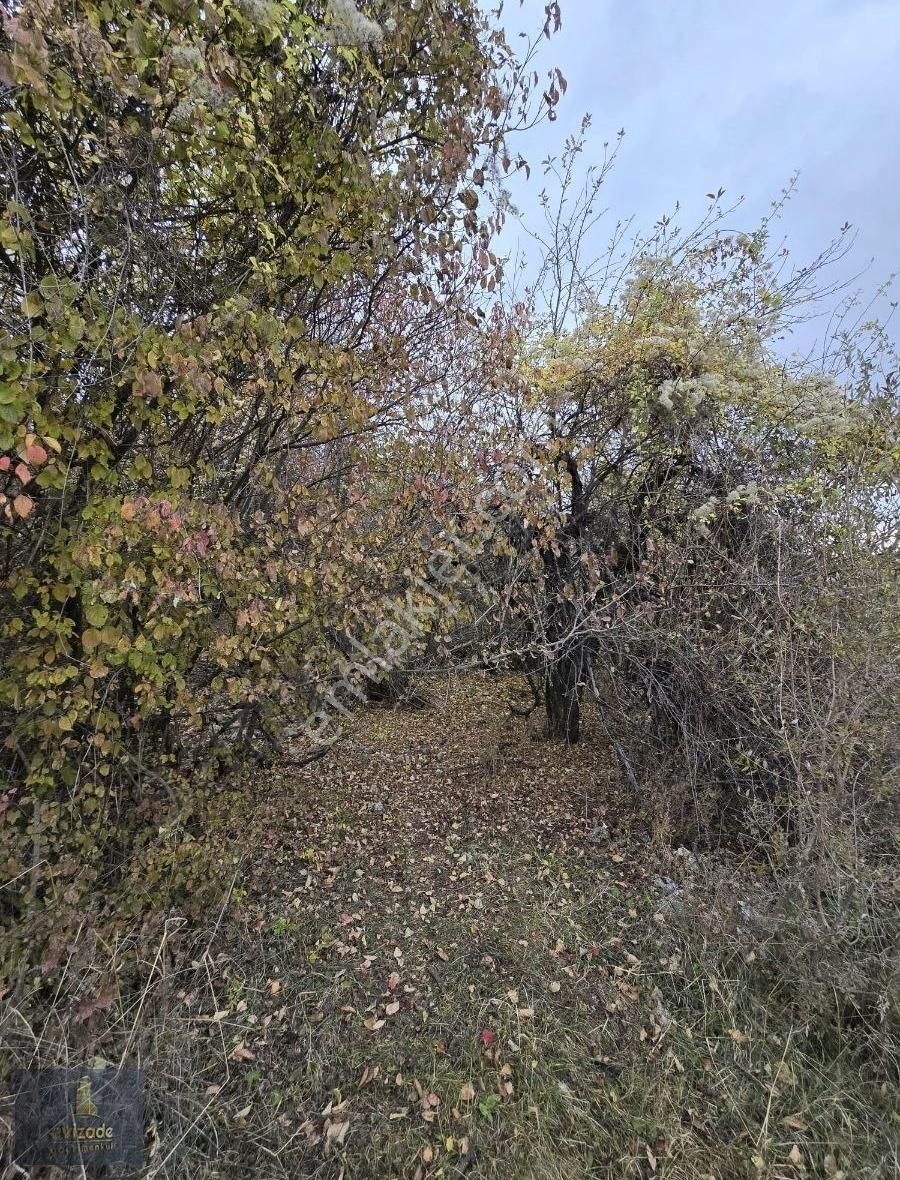 Mersin Erdemli Şahna Yaylası Satılık 24 Dönüm Tarla - Görsel 11