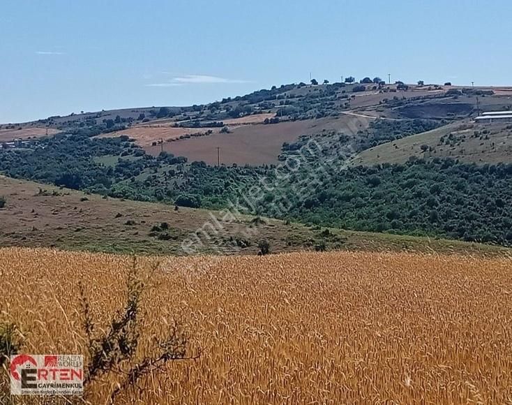 Karacabey Subaşı Satılık Tarla Rw Erten'den Teknosoba Yakın Satılık Tarla