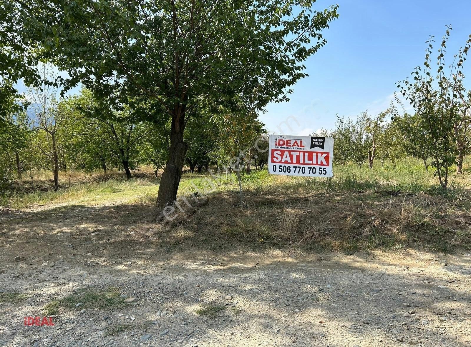 Çay Çayırpınar Köyü Satılık Tarla AFYONKARAHİSAR ÇAY'DA SATILIK TARLA VE ÇİÇEKLİK!