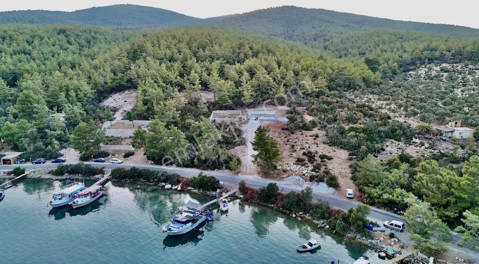 Milas Bozbük Satılık Tarla Muğla Milas Bozbük Kazıklı Koyunda Denize Sıfır Satılık Arsa