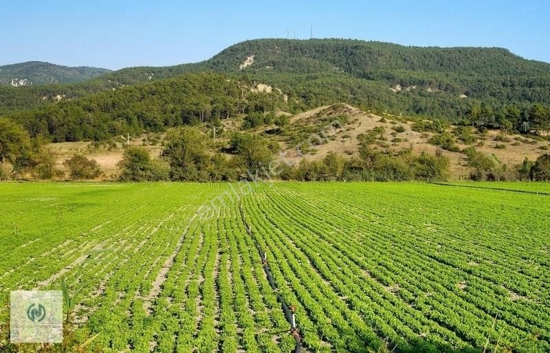 Mezitli Çankaya Satılık Tarla **NOVA** ÇANKAYA MAHALLESİNDE SATILIK VİLLALIK KUPON ARSA