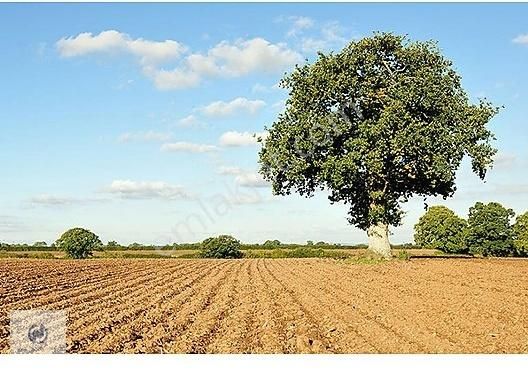 Toroslar Doruklu Satılık Tarla **NOVA** DORUKLU GÖZNE YOLU ÜZERİ SATILIK BİRLEŞTİRİLMİŞ 2 ARSA