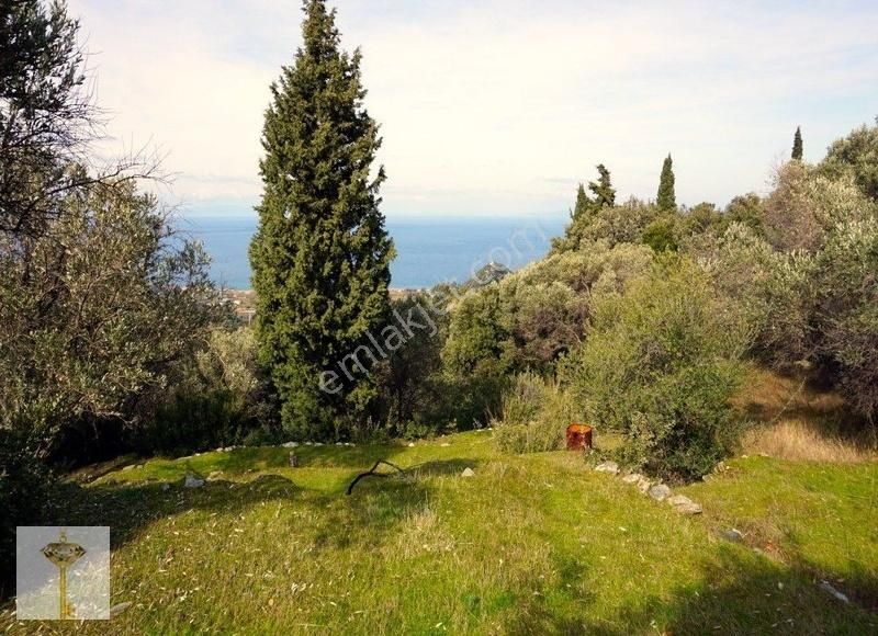 Bodrum Akyarlar Satılık Konut İmarlı Muhteşem Deniz Ve Adalar Manzaralı Devasa Arazi.