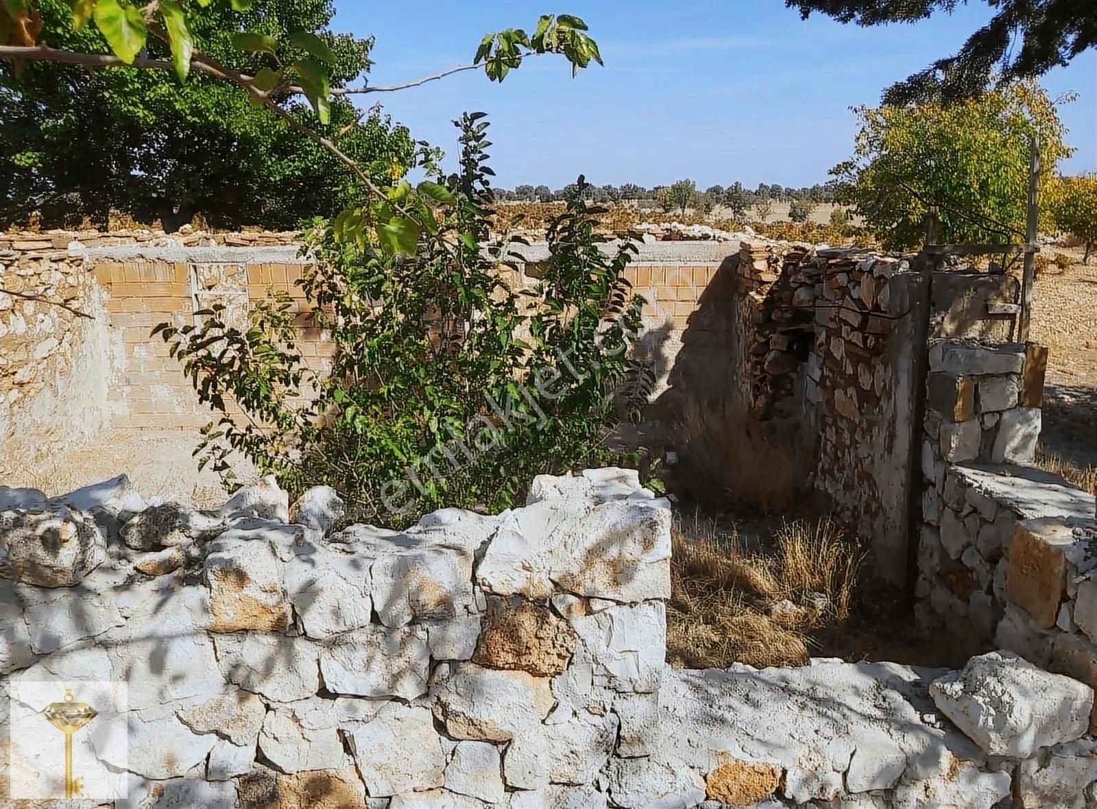 Bekilli Kutlubey Satılık Bağ & Bahçe Tek parça etrafı komple çevrili bakımlı Üzüm Bağı