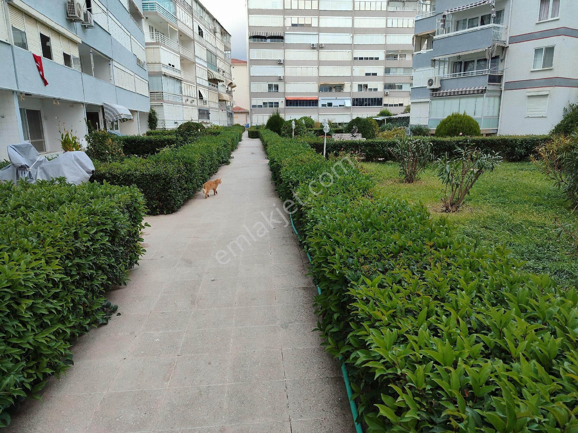 Gemlaktan Kumlada Denize Sıfır Masrafsız Satılık Daire - Görsel 28