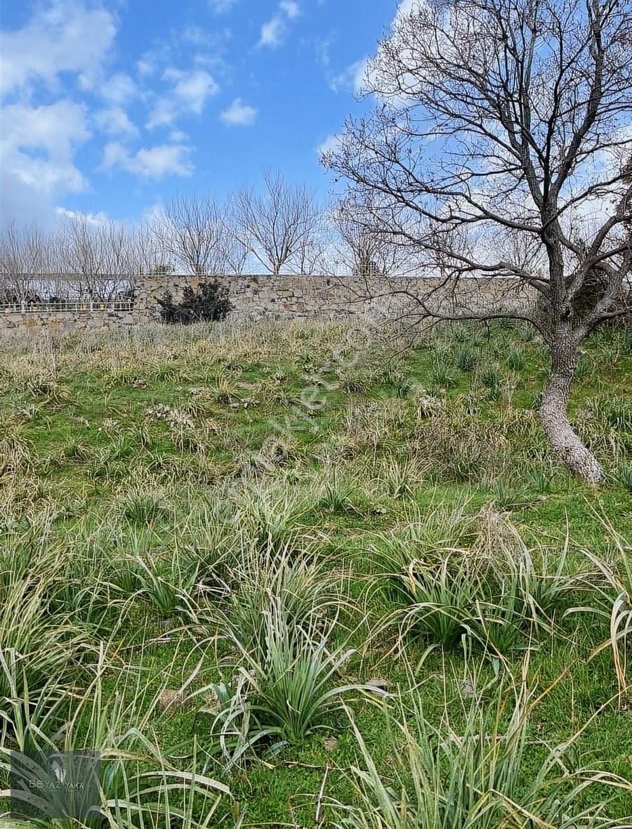 Beyazyaka'dan Bergama Kurtuluş Mah. Satılık Arsa