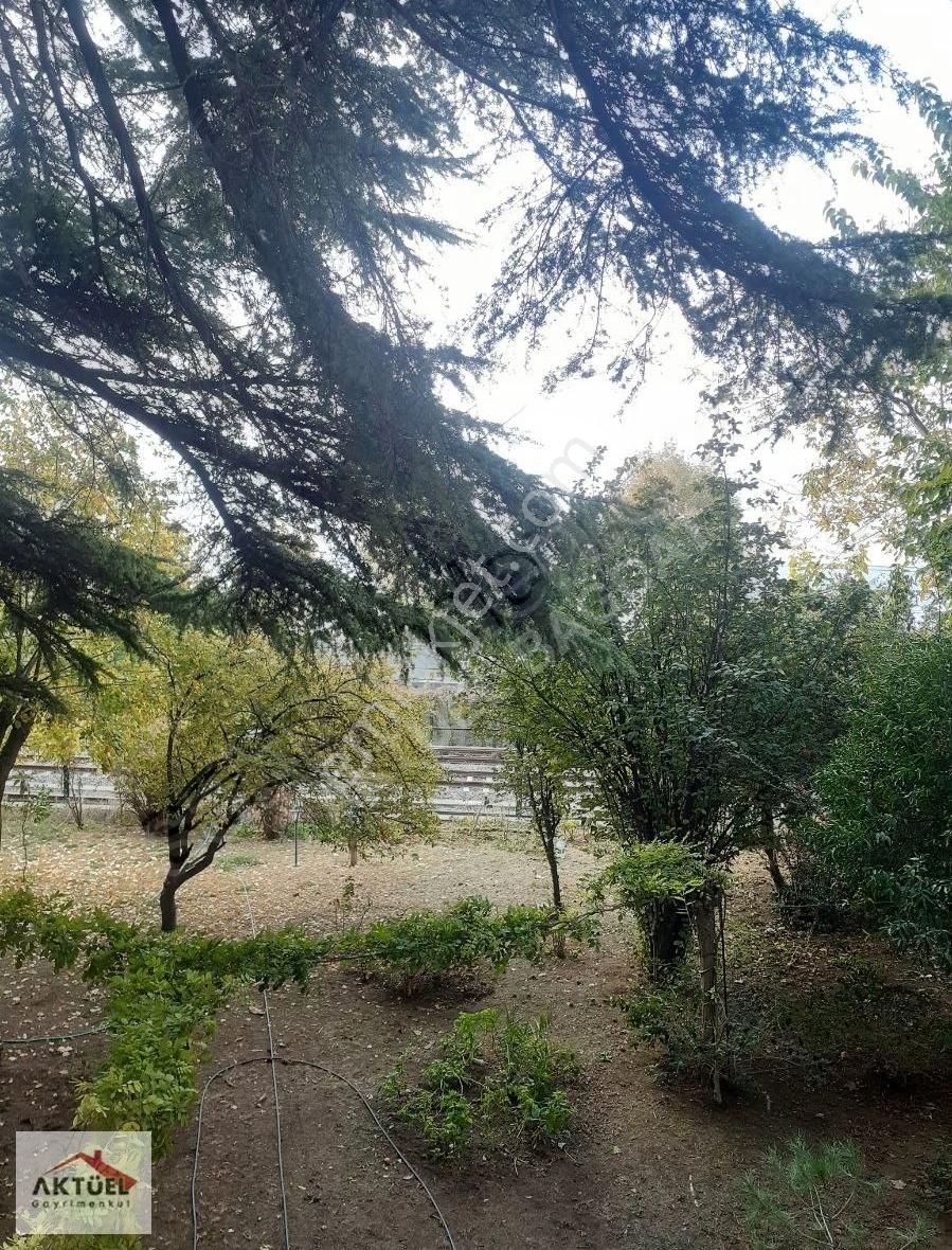 Maltepe Küçükyalı Kiralık Daire Altıntepe Sahil'de Aktüel'den 150 M2 Balkonlu Marmaraya Yakın