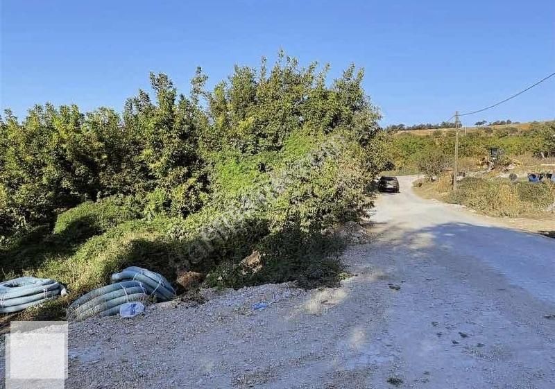 Yenişehir Günece Satılık Muhtelif Arsa YENİŞEHİR GÜNECE KÖY İÇİ İMARLI ARSA