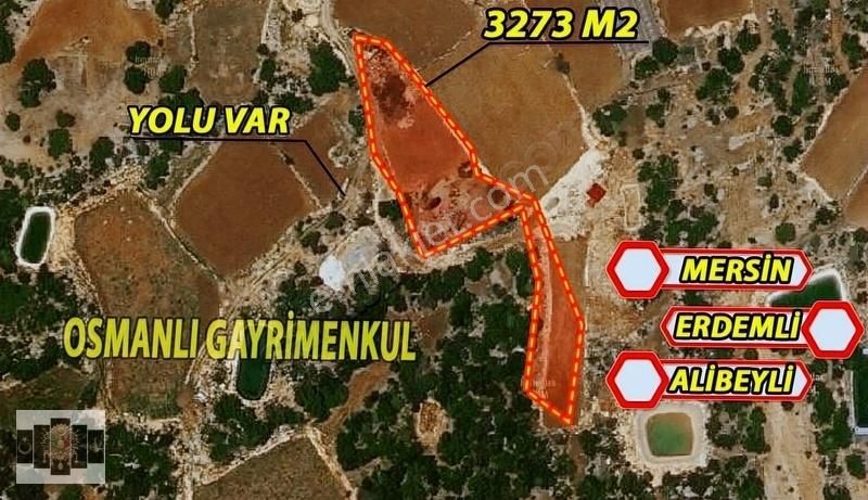 Erdemli Alibeyli Satılık Tarla Erdemli Alibeyli Mahallesi Satılık 3273 M2 Parsel