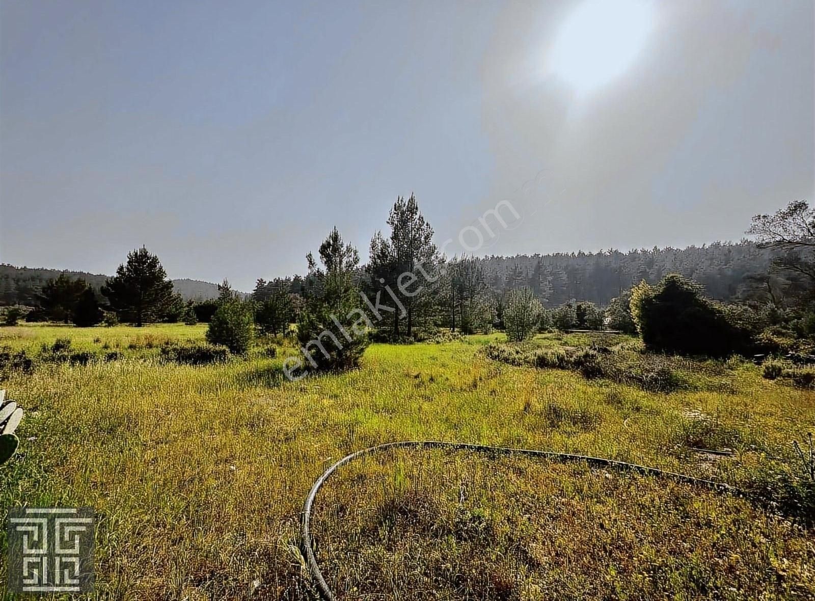 Serik Kozan Satılık Tarla ANTALYA SERİK KOZAN KÖYÜ YATIRIMLIK TARLA