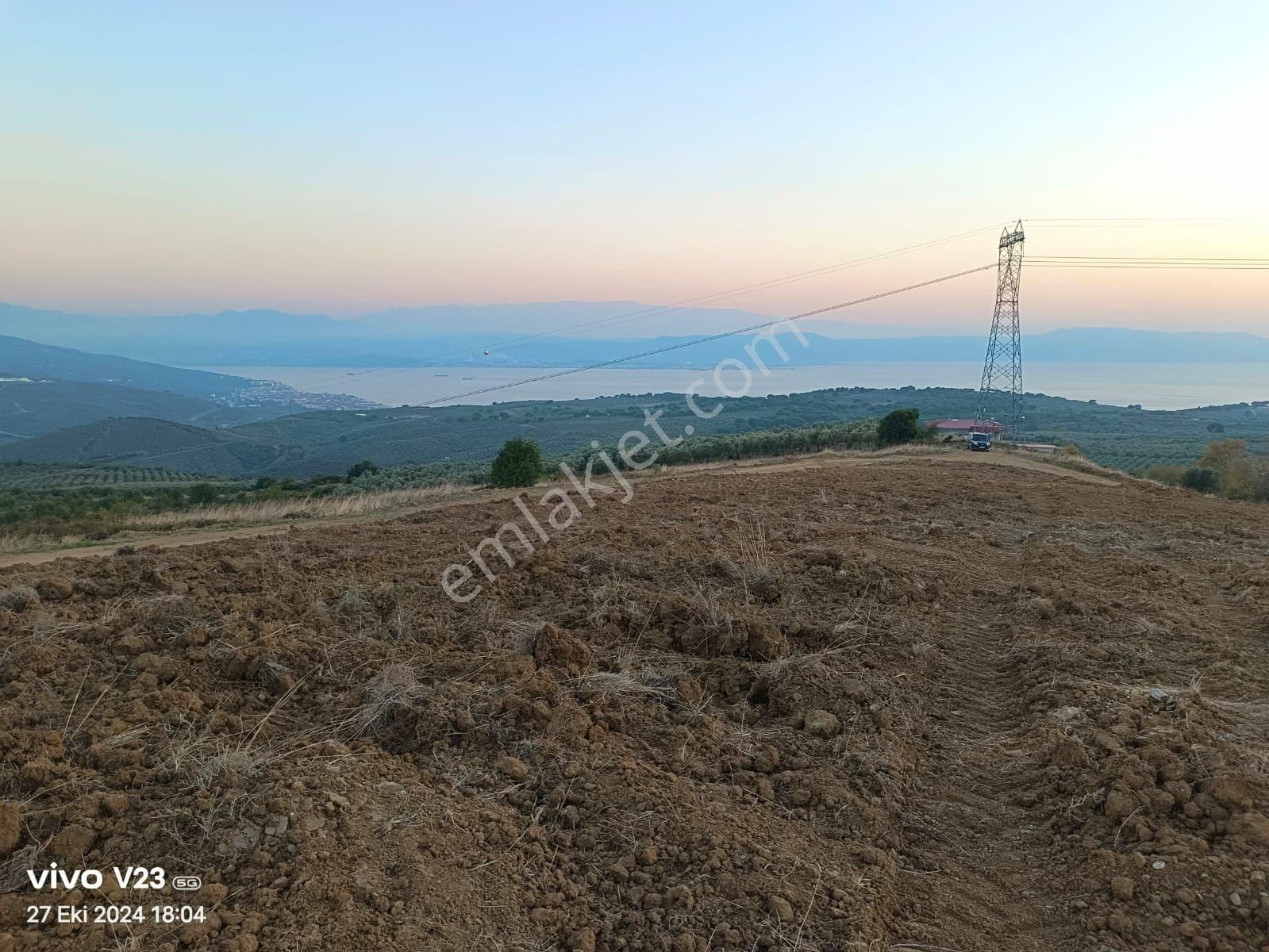 Gemlik Büyükkumla Satılık Tarla Büyük Kumla'da Full Deniz Manzaralı Hobi Bahçeleri