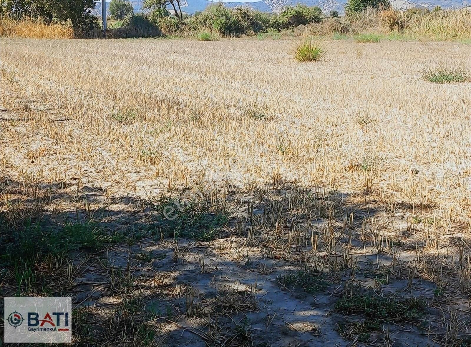 Bayındır Kızılcaova Satılık Tarla Torbalı Batı Gayrimenkul Den Satılık Tarla