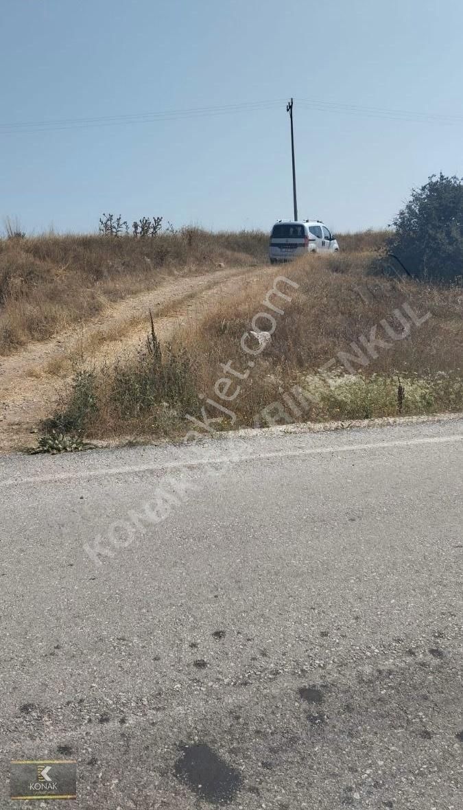 Bozüyük Dodurga Bld. (Mithatpaşa) Satılık Tarla ACİL SATILIK ANA YOL ÜZERİ