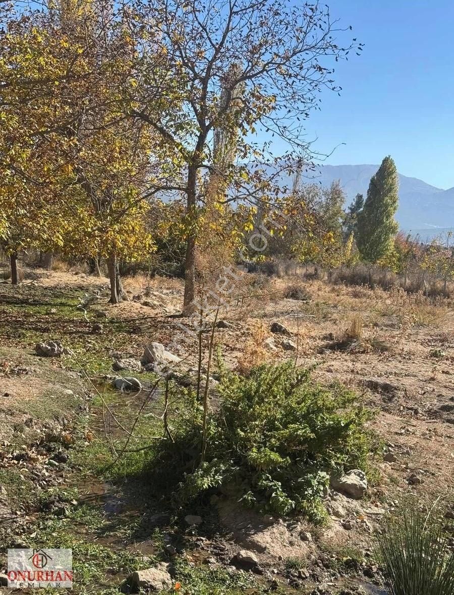 Tavas Kızılcabölük Satılık Bağ & Bahçe KIZILCABÖLÜK BAĞLAR MEVKİ