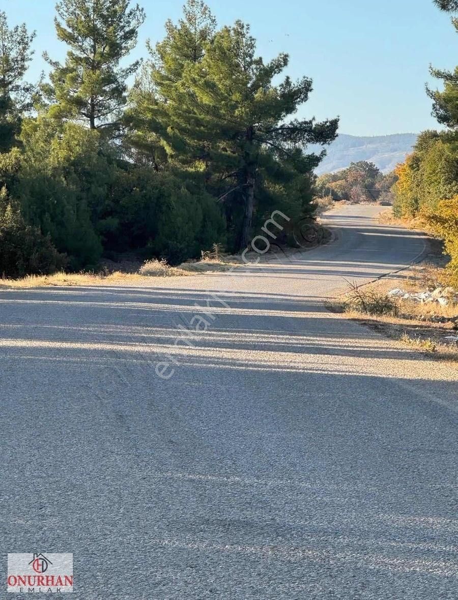 Tavas Kızılcabölük Satılık Bağ & Bahçe KIZILCABÖLÜK TE VAKIF YOLUNA BİR PARSEL İÇERDE YOL VAR