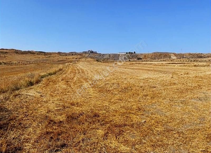 Odunpazarı Gümele Satılık Tarla YÜKSEL EMLAK'TAN GÜMELE'DE SATILIK TARLA