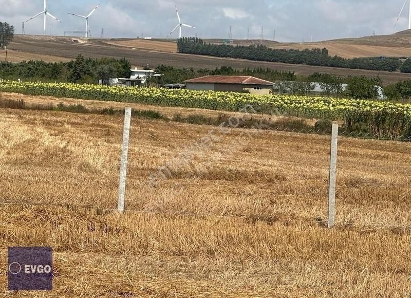 Silivri Gazitepe Satılık Tarla SİLİVRİ GİŞELERİN YANINDA 340 M2 SATILIK ARSA