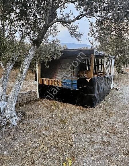 Aliağa B. Hayrettin Paşa Satılık Tarla Satılık Hobi Bahçesi