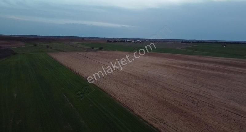 Pehlivanköy Hıdırca Köyü Satılık Tarla PEHLİVANKÖY HIDIRCA MAH DE TEK TAPU 19700 M2 YOLU OLAN TARLA