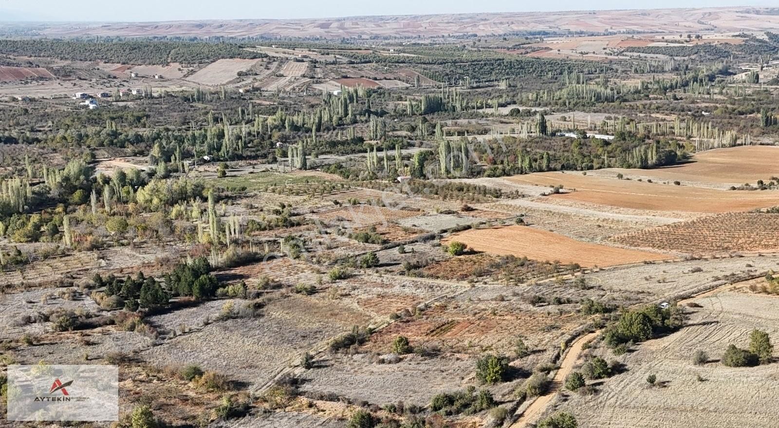 Doğanhisar Ayaslar Satılık Bağ & Bahçe BAĞ 329 / KONYA / DOĞANHİSAR / CUMHURİYET-AYASLAR (AYASLAR)