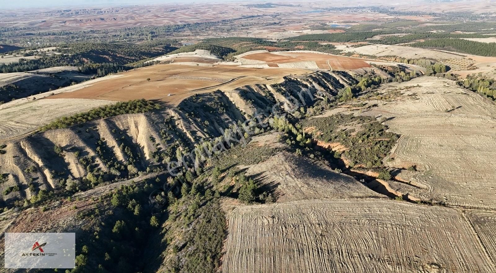 Doğanhisar Ayaslar Satılık Tarla TARLA 5112 m² ATATÜRK (AYASLAR) / DOĞANHİSAR / KONYA