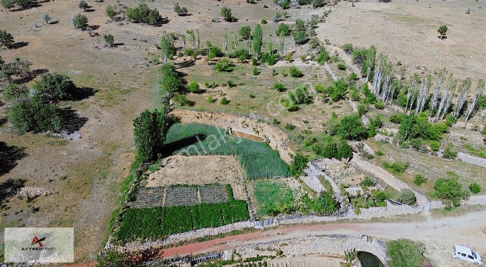 Bozkır Hacılar Satılık Bağ & Bahçe KONYA BOZKIR HACILAR MAHALLESİNDE 652 M2 MÜSTAKİL TAPULU BAHÇE