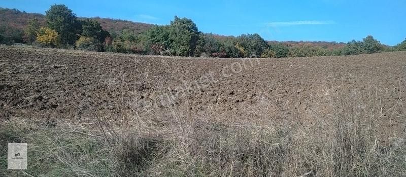 İnegöl Yeniyörük Satılık Bağ & Bahçe Yenıyorukte Super Konumda Satılık Tarla