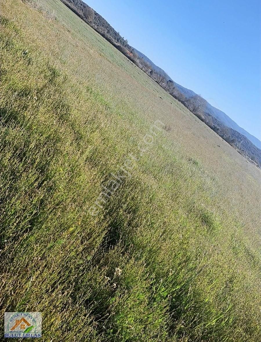 Menteşe Yerkesik Satılık Tarla Bulut Emlak Yerkesikte Yolu Olan Yatırımlık Satılık Tarla