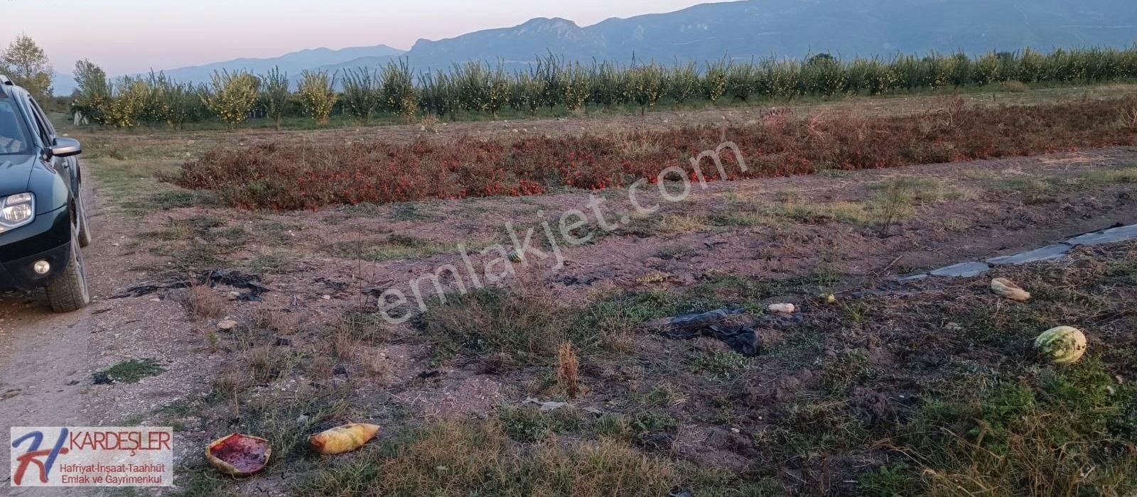 Pamukova Paşalar Satılık Tarla SAKARYA PAMUKOVA PAŞALAR MAH. YATIRIMLIK VERİMLİ ARAZİ