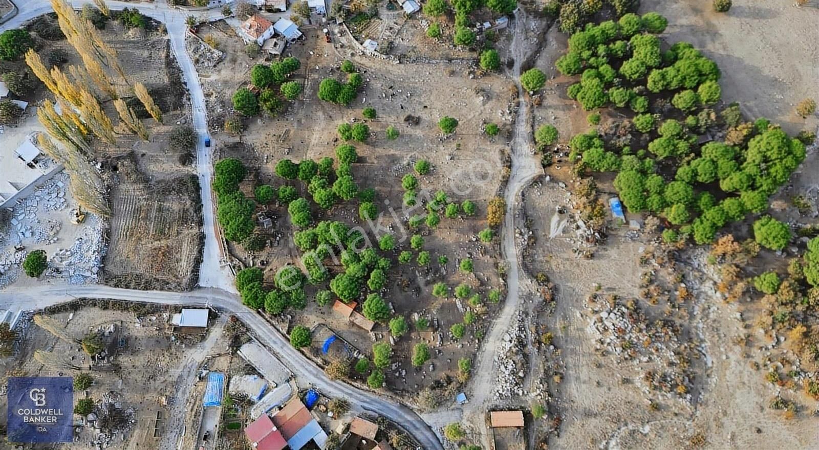 Bergama Terzihaliller Satılık Tarla İzmir Bergama Terzihaliller Köyü'nde6.500m² Hisseli Tarla vBahçe