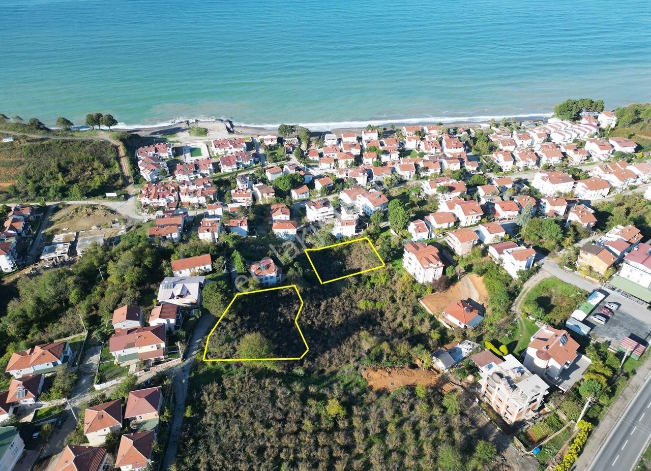 Akçakoca Ayazlı Satılık Konut İmarlı  AKÇAKOCA    AYAZLI MAHALLESİ'NDE 2584 M2 SATILIK ARSA 