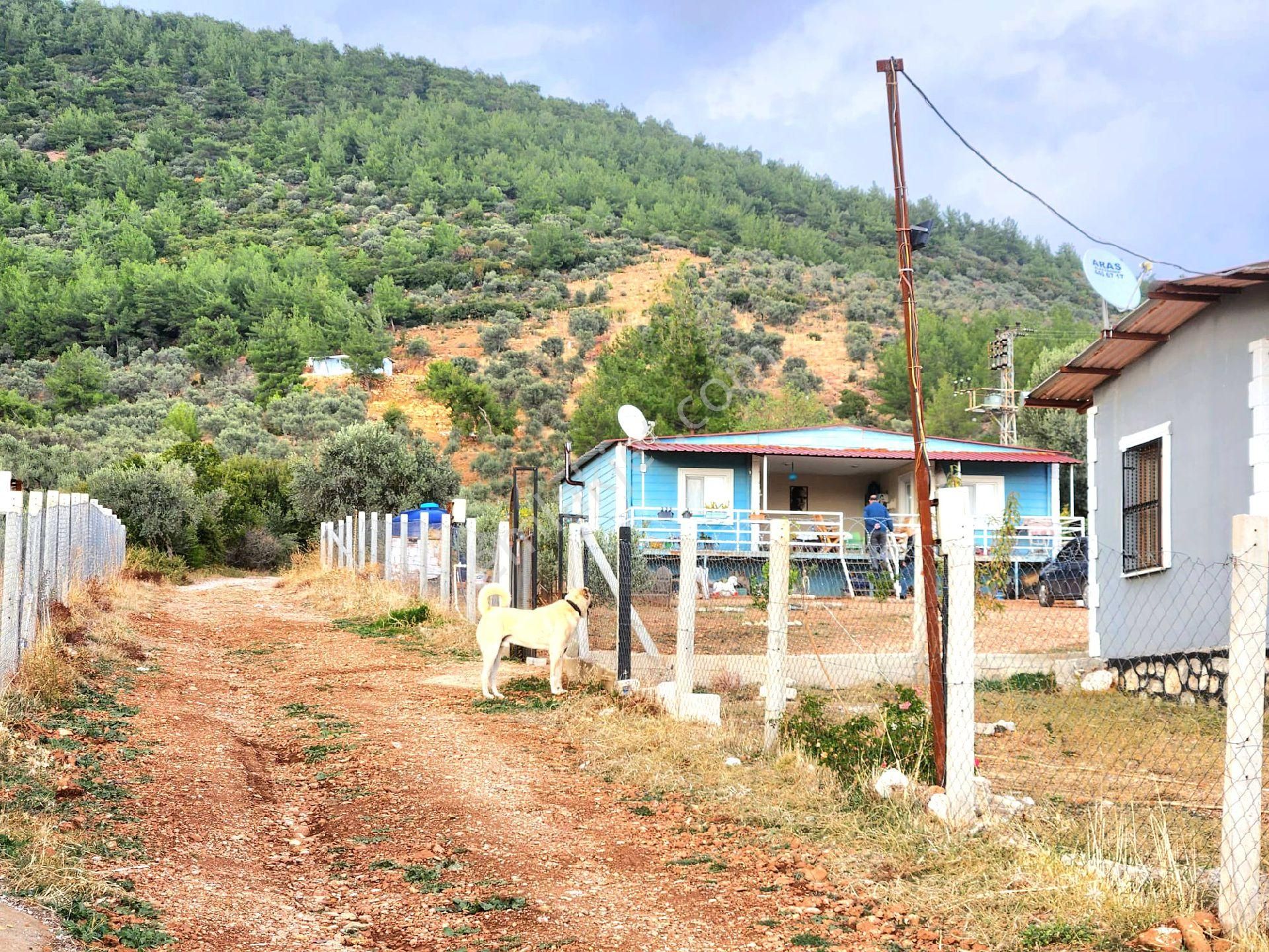 Torbalı Dağkızılca Satılık Tarla Dağkızılcanın En Havadar Bölgesi Erendağı Mevkisinde İçinde 3 Adet Eşyalı Evi Hazır Bahçe Fırsatı