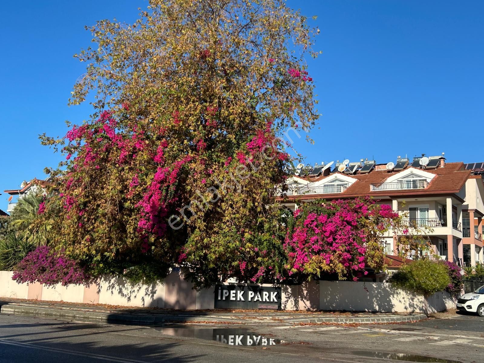 Side Cennetlerde Havuzlu Sitede Bahçe Katı Eşyalı 2+1 - Görsel 6