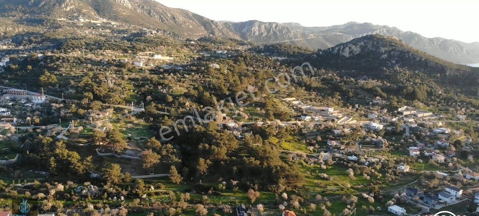 Muğla Marmaris Söğüt Köyünde2 Tane, Toplam 338 M2 Satılık Tarla - Görsel 4